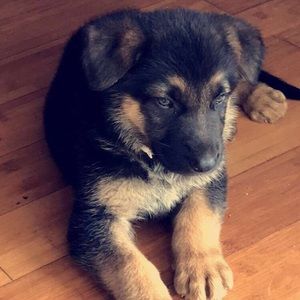 Meet your Posher, Ricardo